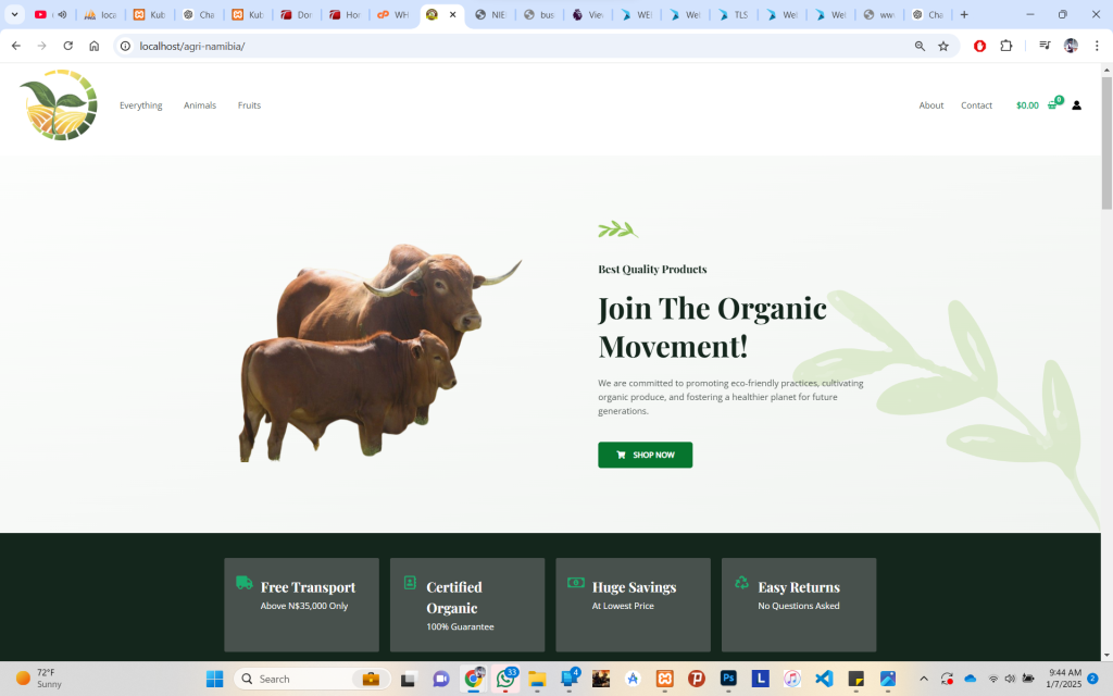 Screenshot 2025-01-07 094439